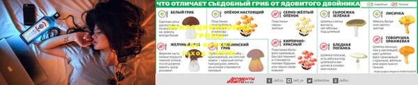 ALPHA-PVP Арсеньев