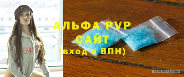 хмурый Ельня