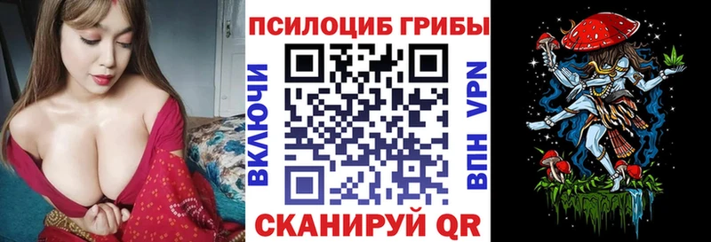 Псилоцибиновые грибы Cubensis  Ахтубинск 
