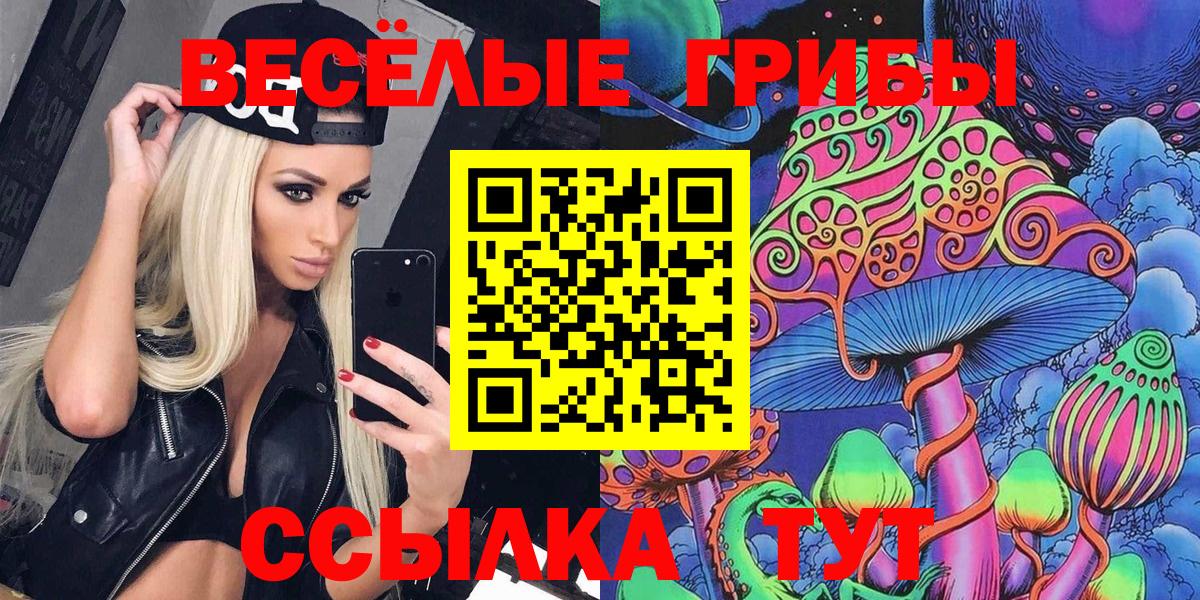 Галлюциногенные грибы ЛСД  Вход с VPN  Псилоцибиновые грибы Psilocybe  Ахтубинск 