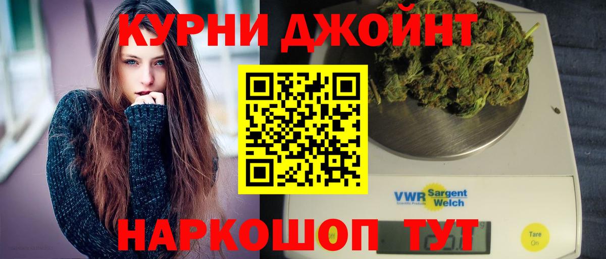 Конопля сатива Ахтубинск
